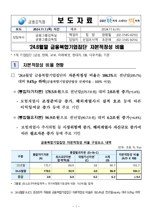 '24.6월말 금융복합기업집단 자본적정성 비율 PC 본문 이미지 1