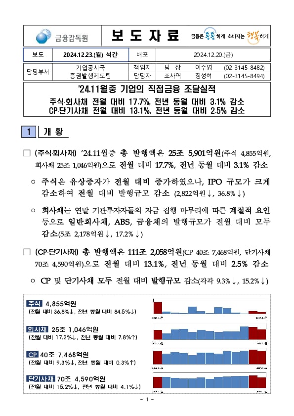 '24.11월중 기업의 직접금융 조달실적 이미지 1