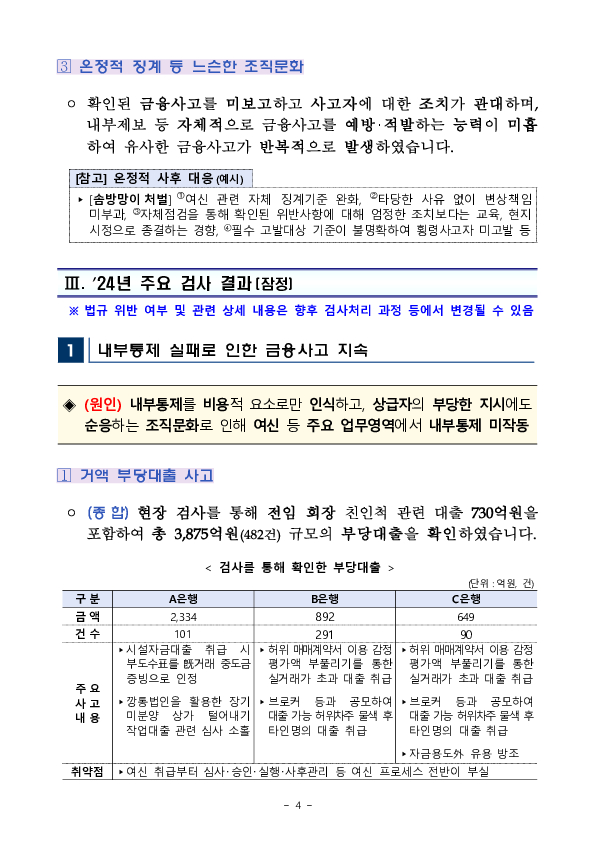 '24년 지주,은행 등 주요 검사결과 기자설명회 개최 이미지 4